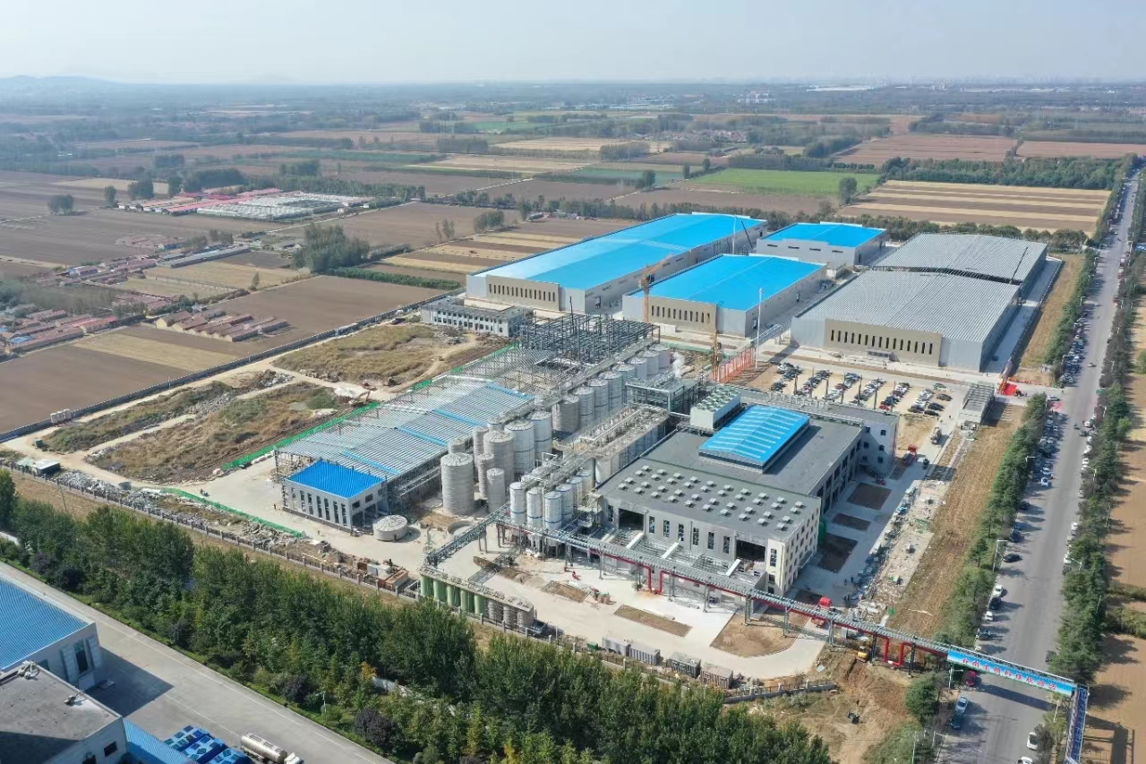 Quel est le processus de production de glucose