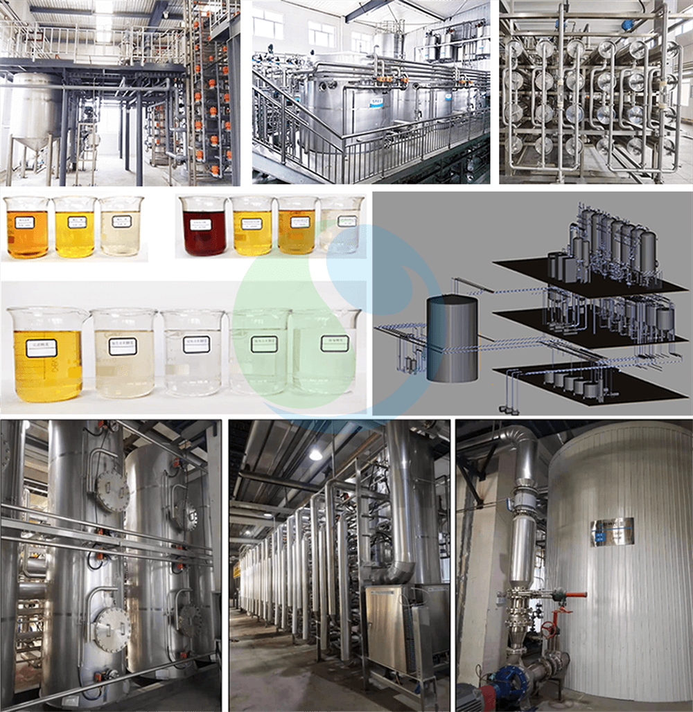 Projet de sucre de canne