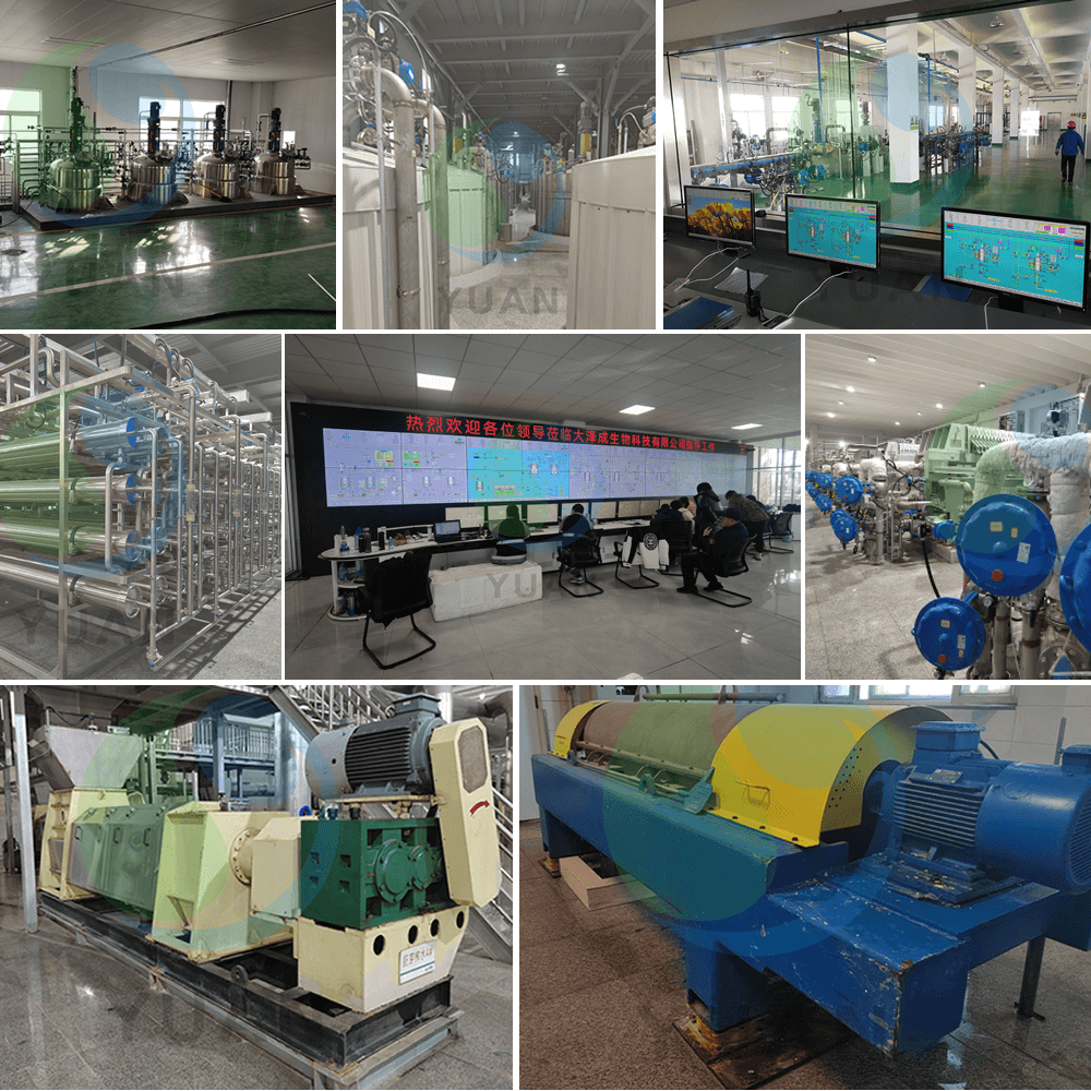 Projet de gomme Gellan