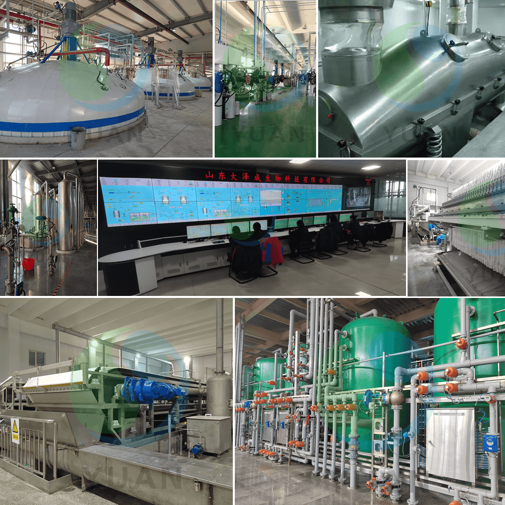 Projet d'acide citrique